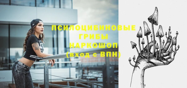 МДПВ Абинск
