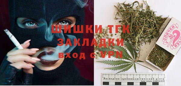 тгк Алзамай