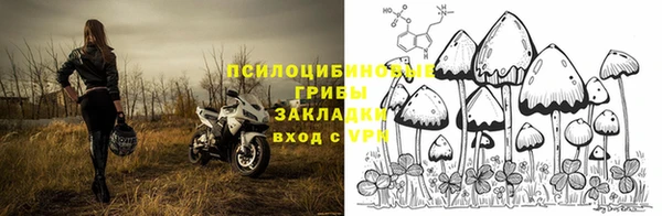 МДПВ Абинск
