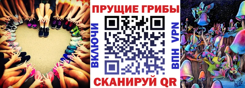 Галлюциногенные грибы GOLDEN TEACHER  Шилка 