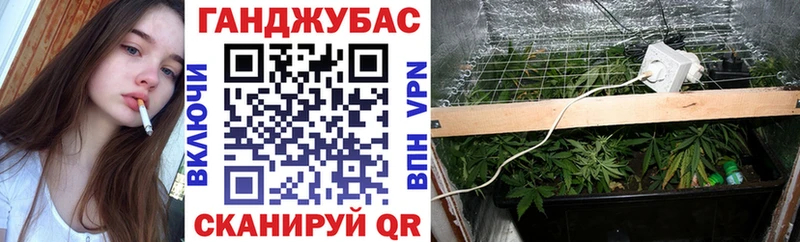 как найти   OMG tor  Марихуана конопля  Шилка 